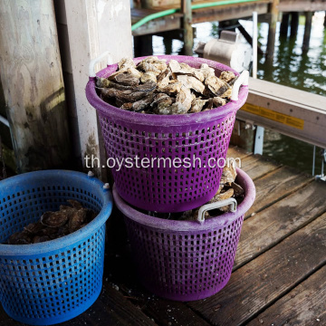 เฉพาะหอยนางรม - ตะกร้ากลมพลาสติกแบบวางซ้อนกันได้
